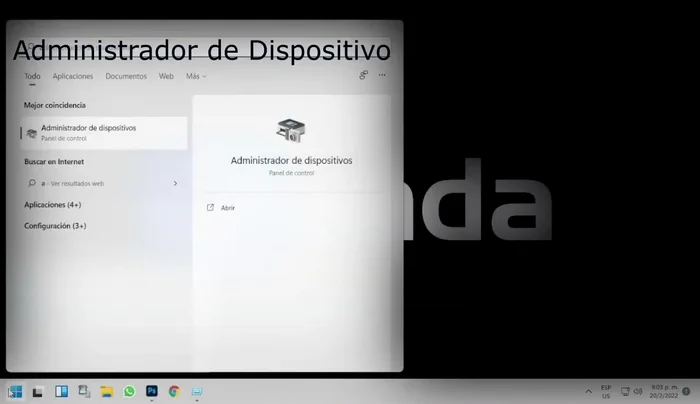 Ir a 'Adaptadores de pantalla'.