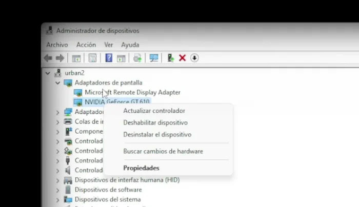Deshabilitar todos los adaptadores de pantalla.