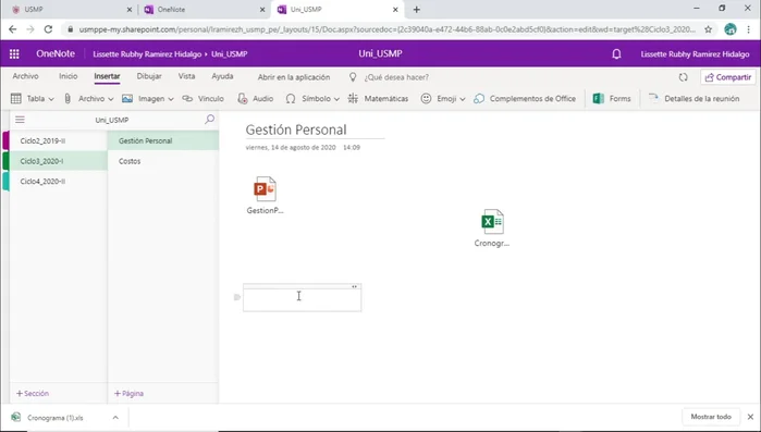 Situarse en la página de OneNote donde se quiere insertar el archivo.
