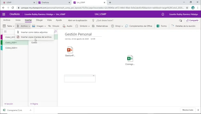 Elegir la opción 'Insertar copia impresa del archivo'.
