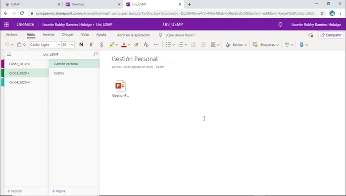 Situarse en la página de OneNote donde se quiere insertar el archivo.
