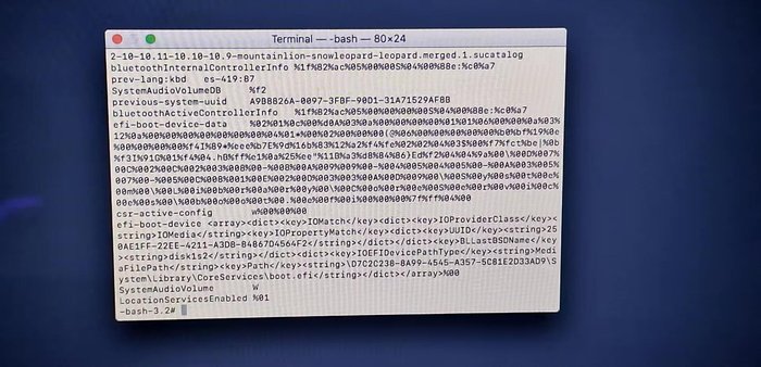 Cerrar la Terminal e intentar reinstalar macOS de nuevo.