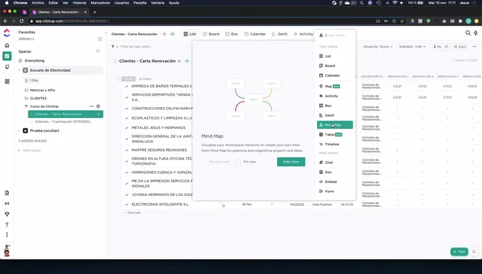 Visualización Línea de Tiempo: Para ver la distribución de tareas en el tiempo, ideal para planificación.