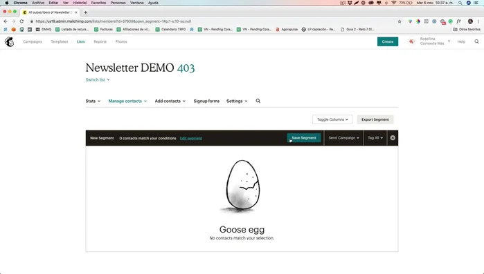Guarda el segmento con un nombre descriptivo.