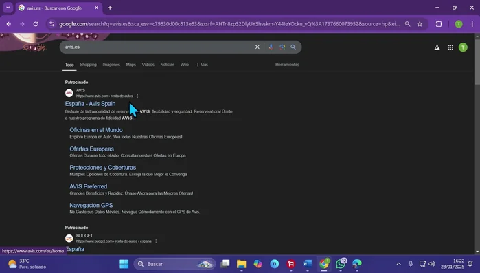Accede a la página web de Avis.