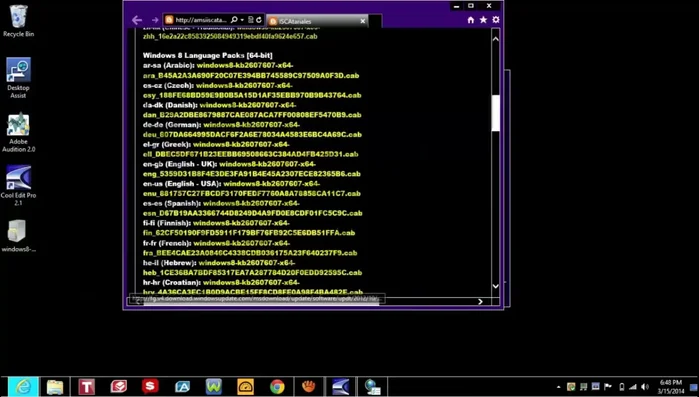 Seleccionar el idioma que se desea agregar y dar clic en 'Next' o 'Siguiente'.