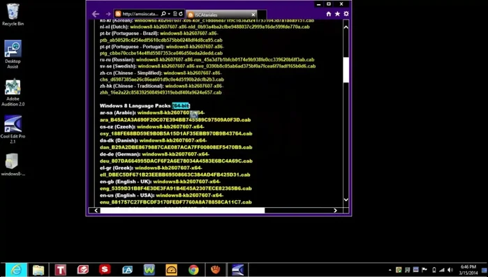Descargar el paquete de idioma deseado desde el enlace proporcionado en la descripción del vídeo.