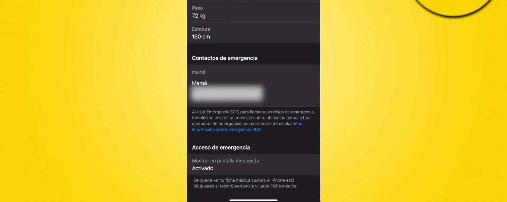 Configurar Contactos de Emergencia en iPhone: Guía Rápida y Sencilla