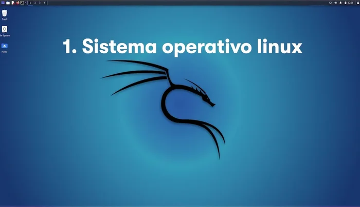 Preparar el entorno: Asegurarse de tener un sistema operativo Linux instalado o una máquina virtual con Linux configurada. Hay un enlace en la descripción para ayudarte a instalar una máquina virtual.