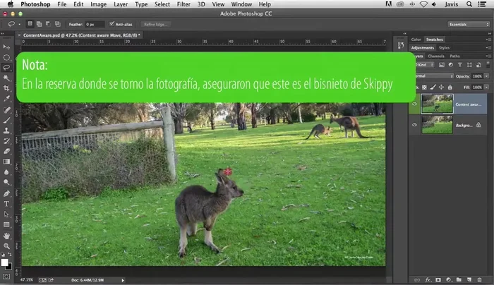 Seleccionar el área a mover.
