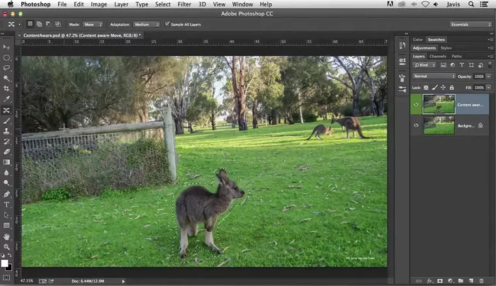 Seleccionar la herramienta 'Movimiento con respecto al contenido'.