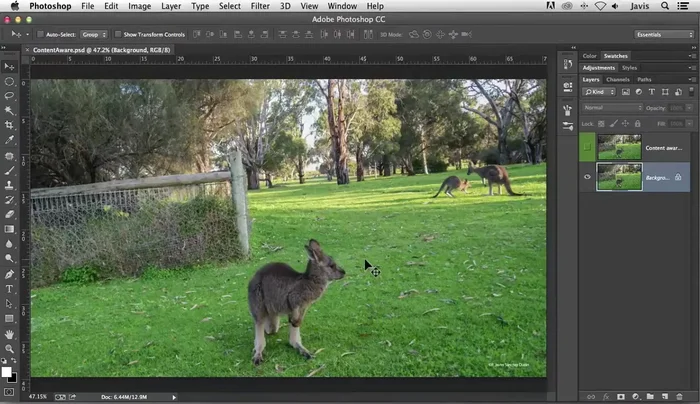 Seleccionar el área a eliminar de la imagen.