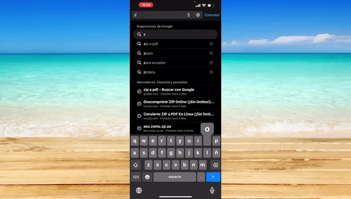 Si la versión antigua no aparece directamente, busca por el nombre de la aplicación y la versión específica que deseas (ej: 'Zoom versión antigua').