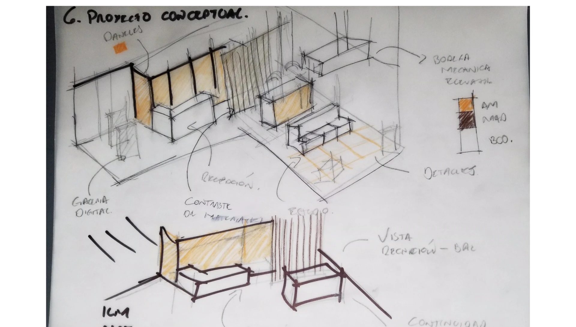 Diseño de Estudio Fotográfico: Guía paso a paso