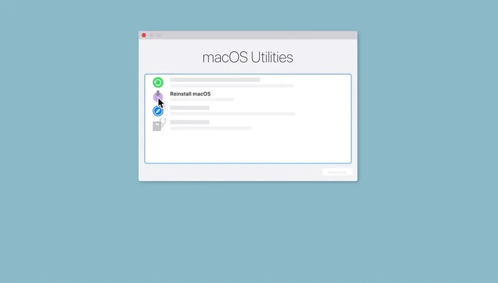 Selecciona la opción 'Reinstalar macOS'.