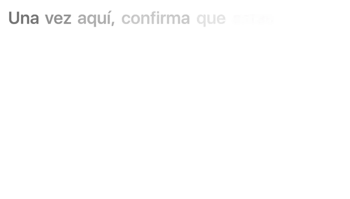 Confirma que estás conectado a internet.