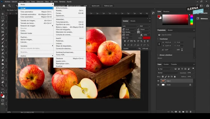 Acceder a la sección de ajustes de color (Imagen > Ajustes).