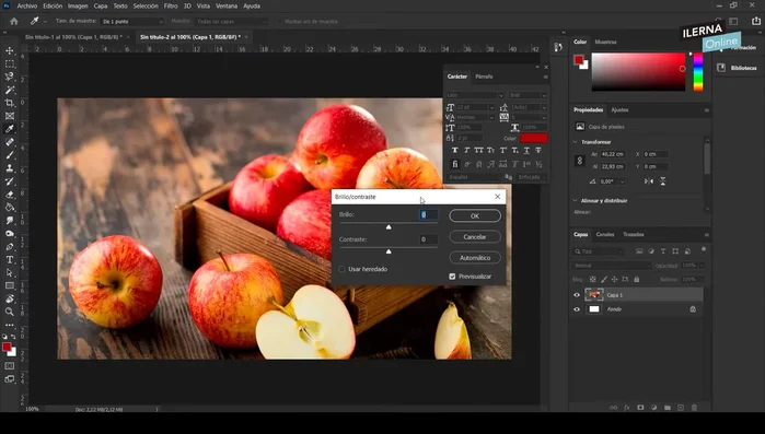 Ajustar Brillo y Contraste: Corregir el grisáceo inicial de la foto.