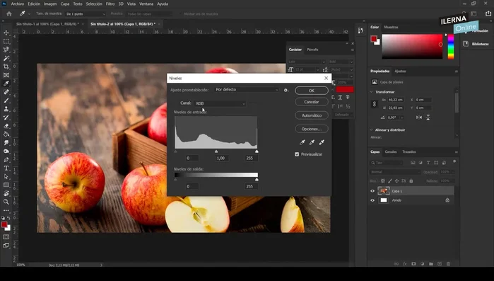 Utilizar Niveles: Control preciso sobre sombras, medios tonos e iluminaciones mediante parámetros numéricos. Modificar los valores RGB, Rojo, Verde y Azul para ajustar la luminancia y el color.