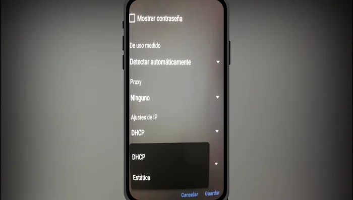En 'Dirección IP', modificar solo el último dígito por cualquier número. Dejar los valores de 'Máscara de subred', 'Puerta de enlace' y 'DNS1' y 'DNS2' como están (en el ejemplo del video eran 30).