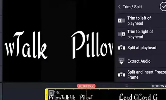 Dividir el vídeo (opcional): Si deseas aplicar diferentes filtros a distintas secciones del vídeo, usa la opción 'Recortar' y 'Sleep &amp; Player' para dividirlo en partes.