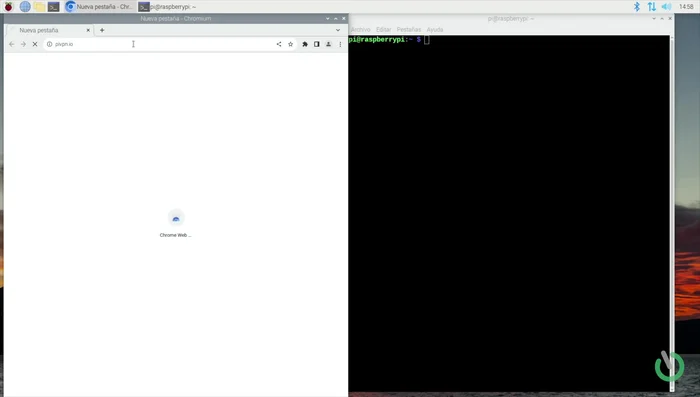 Reiniciar la Raspberry Pi.