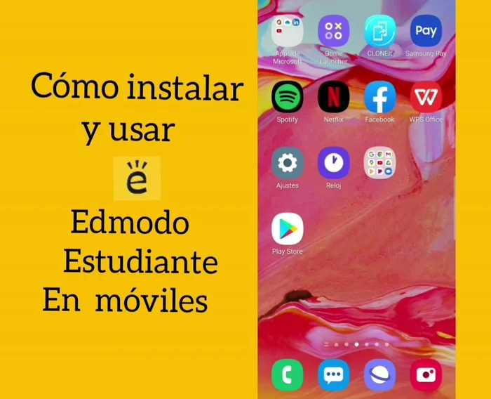 Abrir la aplicación.