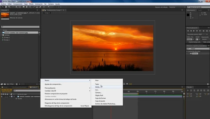 Duplicar la capa de texto (Control D).