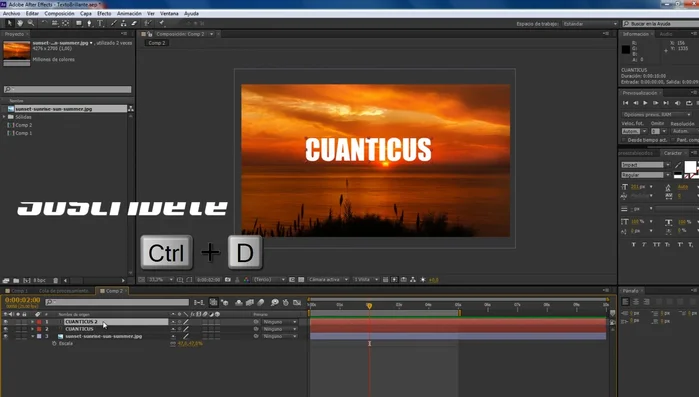 Duplicar la capa de texto (Control D).
