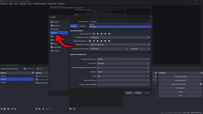Entrar al apartado de salida y activar las opciones avanzadas.