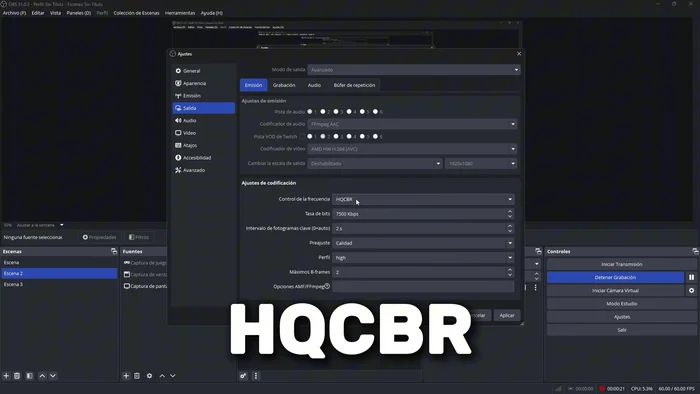En control de frecuencia, elegir CBR (o HQCBR para mejor calidad).