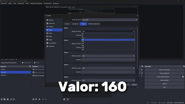 Ajustes de audio: Mantener en 160, aumentar si se desea mejor calidad de audio (considerando el peso).