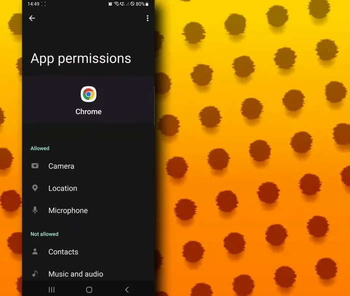Elige la opción 'Permitir solo mientras se usa la aplicación'.