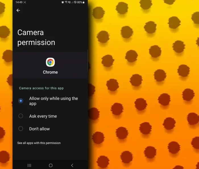 Elige la opción 'Permitir solo mientras se usa la aplicación'.