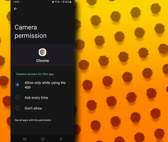 Elige la opción 'Permitir solo mientras se usa la aplicación'.