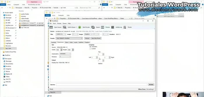 Ir a la pestaña "Dimensiones" y asegurarse de que todos los valores estén en 0. Esto evita recortes no deseados del vídeo.