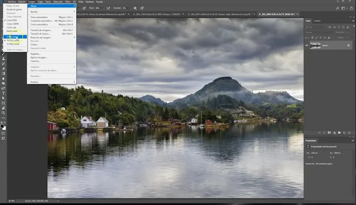 Reducir el tamaño de la imagen para acelerar el procesamiento.