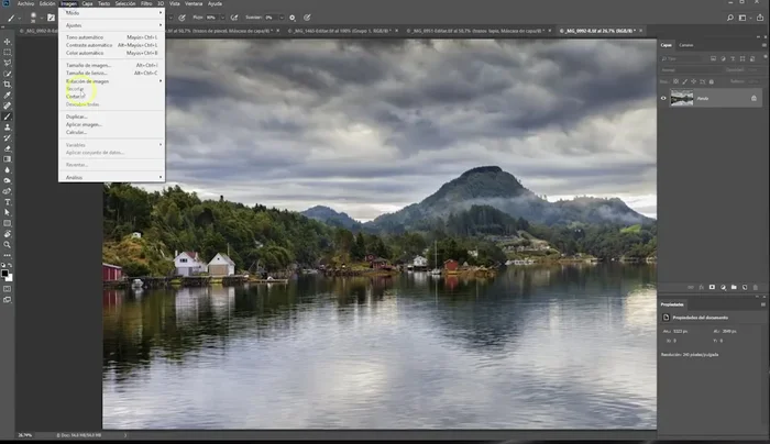 Reducir el tamaño de la imagen para acelerar el procesamiento.