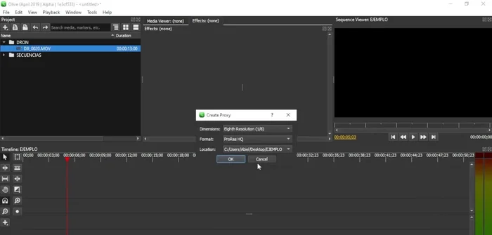Hacer clic en 'Seleccionar Carpeta' y luego en 'OK' para comenzar la generación del proxy.