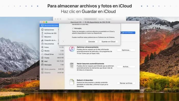 Confirma la acción.