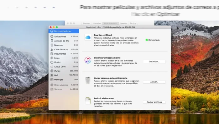 Confirma la acción.