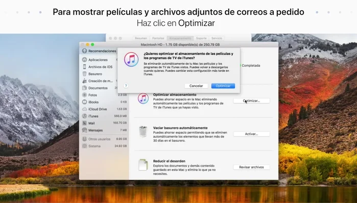 Confirma la acción.