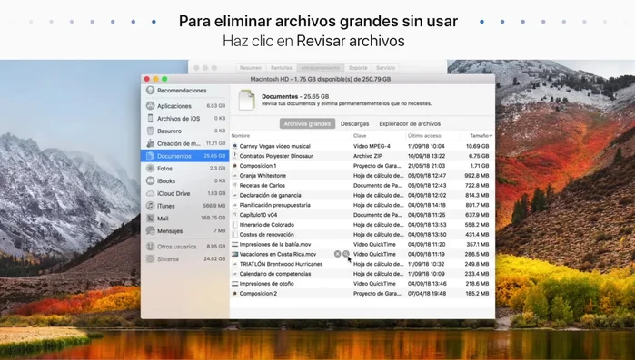 Confirma la eliminación.