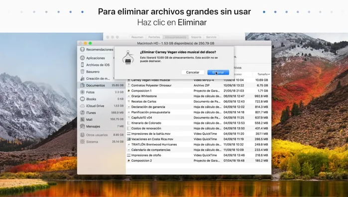 Confirma la eliminación.