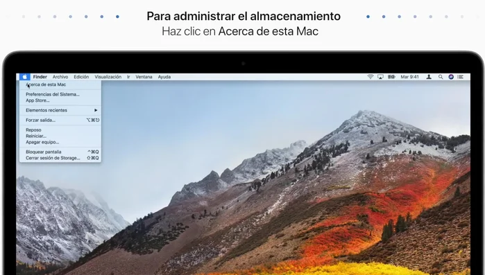 Accede a la ventana de almacenamiento de tu Mac (menú Apple > Acerca de esta Mac > Almacenamiento).