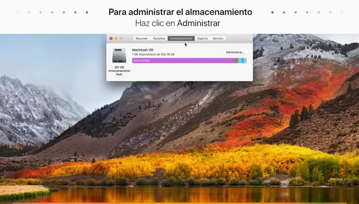 Confirma la acción.