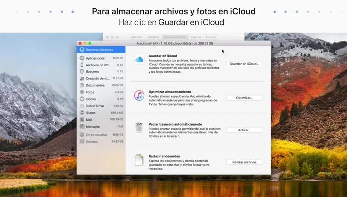 Confirma la acción.
