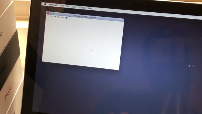 En la terminal, escribir el comando `resetpassword` (todo minúsculas) y presionar Enter.