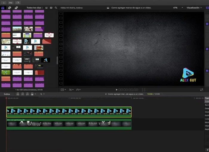 Ajustar la duración y la opacidad de la marca de agua a lo largo del vídeo (opcional, para una mejor integración).