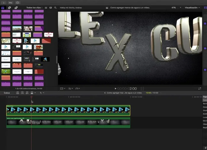 Ajustar la duración y la opacidad de la marca de agua a lo largo del vídeo (opcional, para una mejor integración).